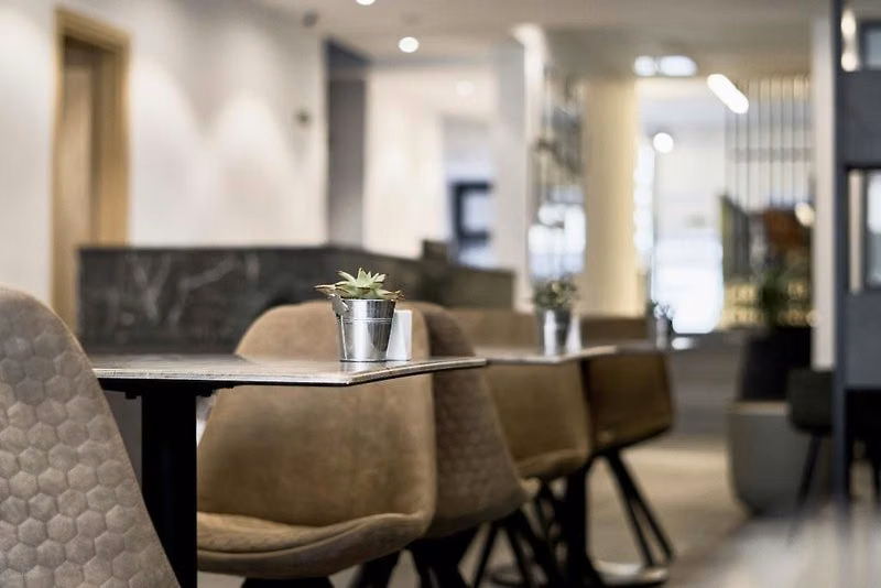 Mr Todd Hotel