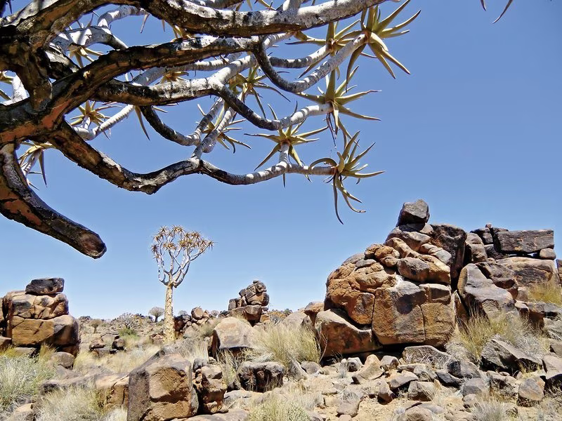 Facettenreiches Namibia für Selbstfahrer,Best of Namibia (Autoreise),Best of Namibia (Autoreise) (ehemals Facettenreiches Namibia für Selbstfahrer)