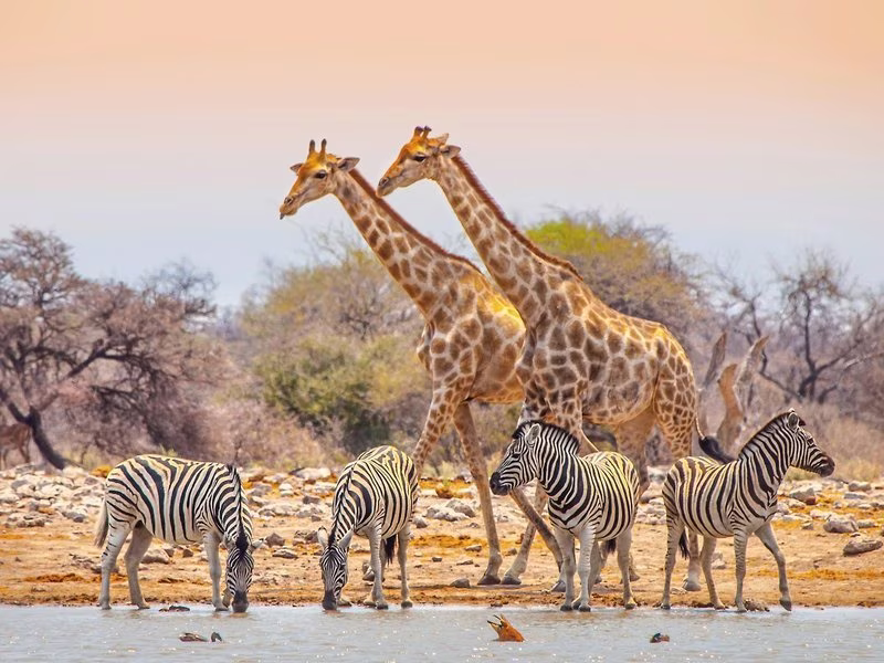 Namibia für Einsteiger