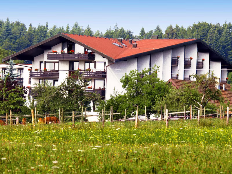 Schwanen Kälberbronn