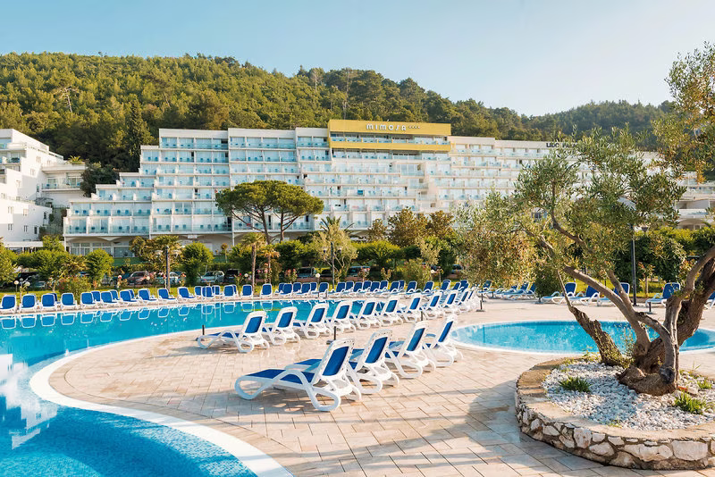 Mimosa - Lido Palace