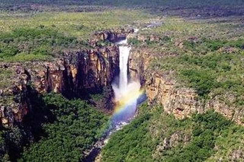 Kakadu auf eigene Faust