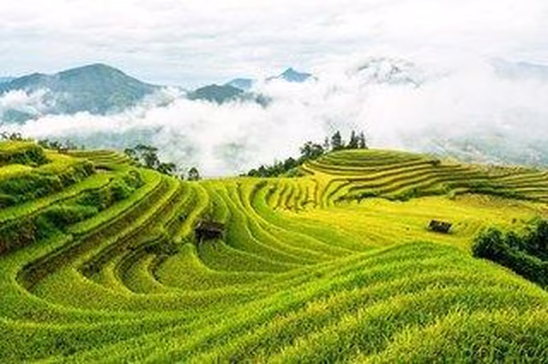 Vietnam von Nord nach Süd - Kleingruppen-Rundreise & Baden