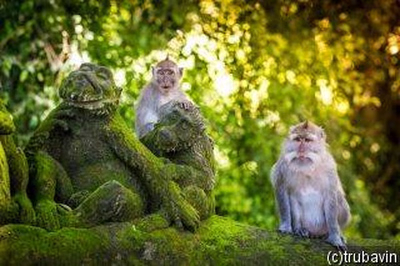 Indonesien - Bali: Kulturelle Schätze und tropische Landschaften